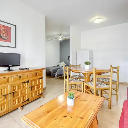 Mismar-12 By Interhome Roses